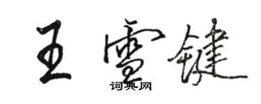 駱恆光王雪鍵行書個性簽名怎么寫