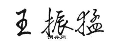駱恆光王振猛行書個性簽名怎么寫