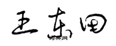 曾慶福王東田草書個性簽名怎么寫