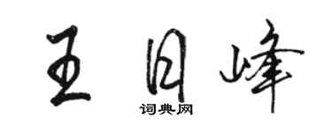 駱恆光王日峰行書個性簽名怎么寫