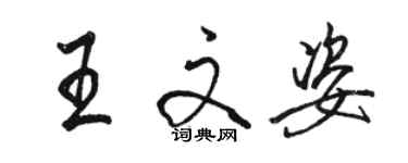 駱恆光王文姿行書個性簽名怎么寫