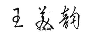 駱恆光王美韻草書個性簽名怎么寫