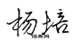 駱恆光楊培行書個性簽名怎么寫