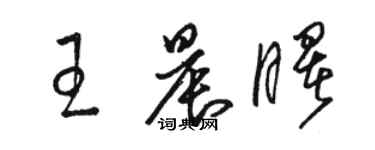 駱恆光王晨曙草書個性簽名怎么寫