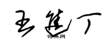 朱錫榮王進丁草書個性簽名怎么寫