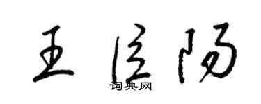 梁錦英王臣陽草書個性簽名怎么寫