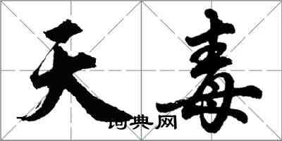 胡問遂天毒行書怎么寫