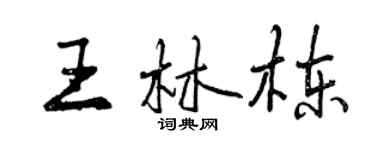 曾慶福王林棟行書個性簽名怎么寫