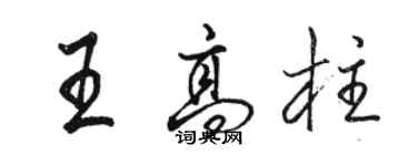 駱恆光王高柱行書個性簽名怎么寫