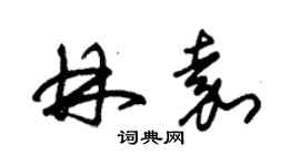 朱錫榮林嘉草書個性簽名怎么寫