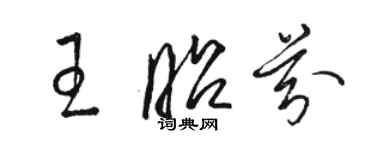 駱恆光王昭芬草書個性簽名怎么寫