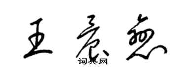 梁錦英王晨戀草書個性簽名怎么寫