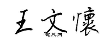 王正良王文懷行書個性簽名怎么寫