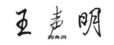 駱恆光王聲明行書個性簽名怎么寫