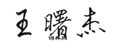 駱恆光王曙傑行書個性簽名怎么寫