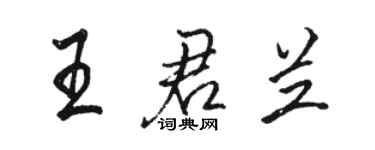 駱恆光王君蘭行書個性簽名怎么寫