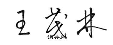 駱恆光王茂林草書個性簽名怎么寫