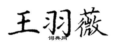 丁謙王羽薇楷書個性簽名怎么寫