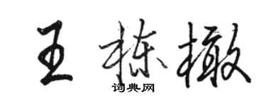 駱恆光王棟橄行書個性簽名怎么寫