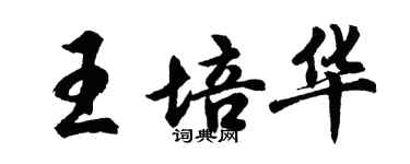 胡問遂王培華行書個性簽名怎么寫