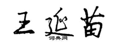 曾慶福王延苗行書個性簽名怎么寫