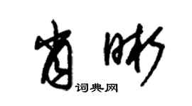 朱錫榮肖晰草書個性簽名怎么寫