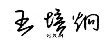 朱錫榮王培炯草書個性簽名怎么寫