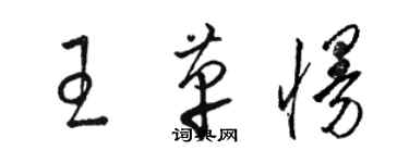 駱恆光王革慢草書個性簽名怎么寫