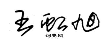 朱錫榮王虹旭草書個性簽名怎么寫