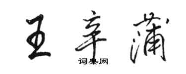 駱恆光王辛蒲行書個性簽名怎么寫