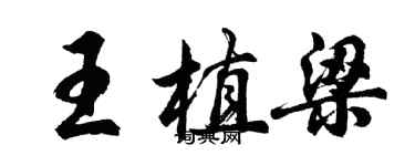 胡問遂王植梁行書個性簽名怎么寫