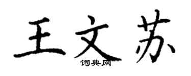 丁謙王文蘇楷書個性簽名怎么寫