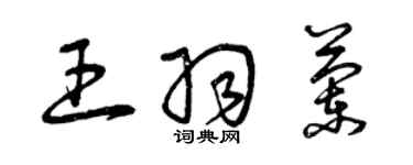 曾慶福王羽蘭草書個性簽名怎么寫