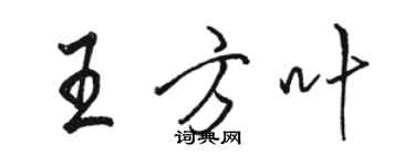 駱恆光王方葉行書個性簽名怎么寫