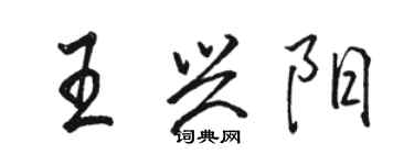 駱恆光王興陽行書個性簽名怎么寫