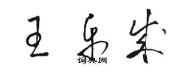 駱恆光王樂成草書個性簽名怎么寫