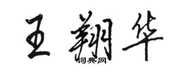 駱恆光王翔華行書個性簽名怎么寫