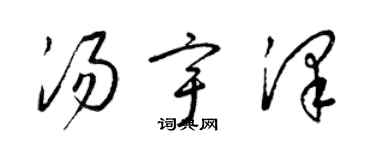 梁錦英湯宇澤草書個性簽名怎么寫