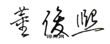 駱恆光董俊熙草書個性簽名怎么寫