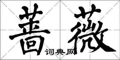 翁闓運薔薇楷書怎么寫