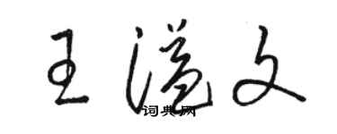 駱恆光王溢文草書個性簽名怎么寫