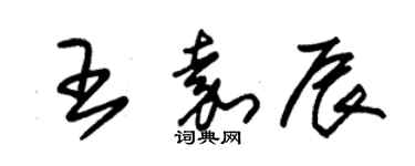 朱錫榮王嘉辰草書個性簽名怎么寫