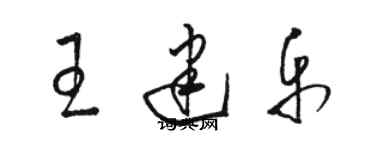 駱恆光王建樂草書個性簽名怎么寫