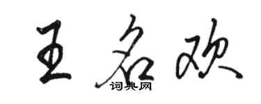 駱恆光王名歡行書個性簽名怎么寫