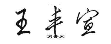 駱恆光王豐宣行書個性簽名怎么寫