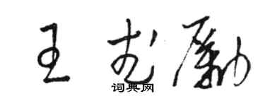 駱恆光王武勵草書個性簽名怎么寫