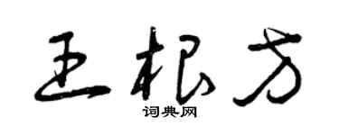 曾慶福王根方草書個性簽名怎么寫