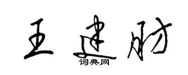 梁錦英王建肪草書個性簽名怎么寫