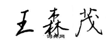 王正良王森茂行書個性簽名怎么寫