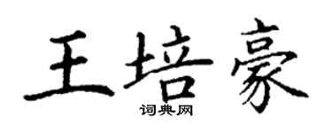 丁謙王培豪楷書個性簽名怎么寫